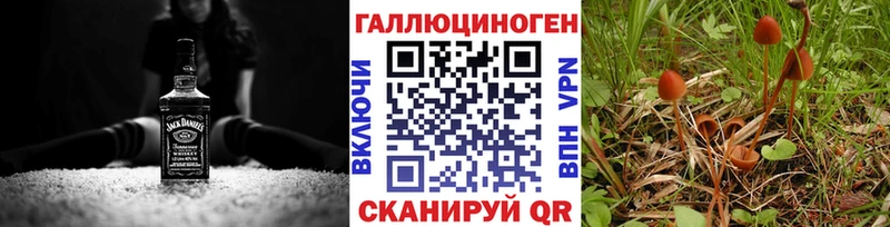 Купить где  Астрахань  Галлюциногенные грибы GOLDEN TEACHER 